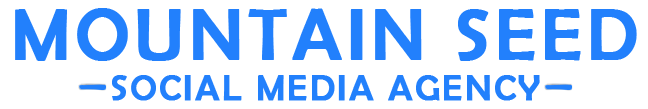 MountainSeed GmbH